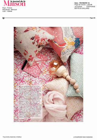 Insertion coussin Figuier japonais LE JOURNAL DE LA MAISON Février 2018