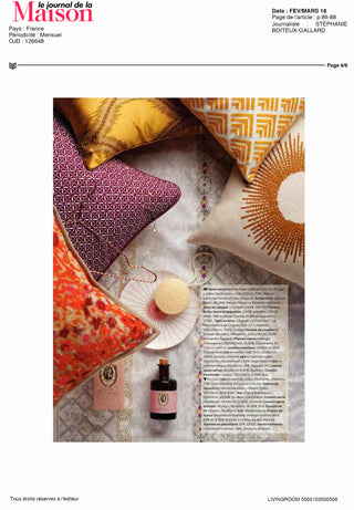 Insertion coussin Soleil Ocre  LE JOURNAL DE LA MAISON Février 2018