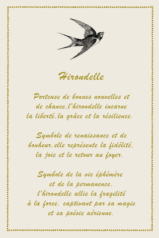Hirondelle élégante