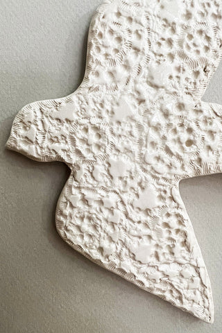 Hirondelle dentelle