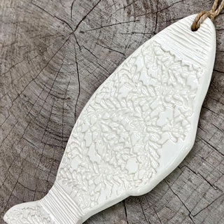 Poisson à dentelle