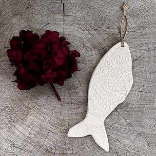 Poisson à dentelle