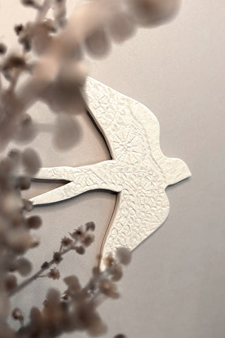 Hirondelle à dentelle