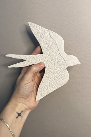 Hirondelle à dentelle