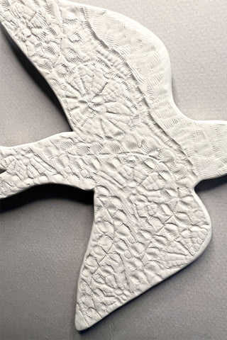 Hirondelle à dentelle